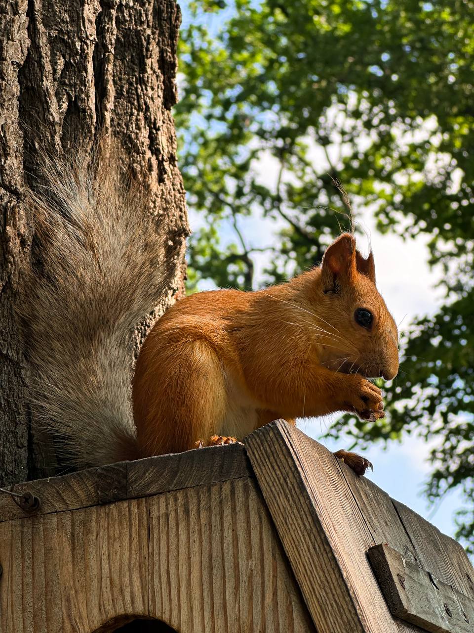 Теплые выходные ждут жителей Саратовской области Теплые выходные ждут жителей Саратовской области