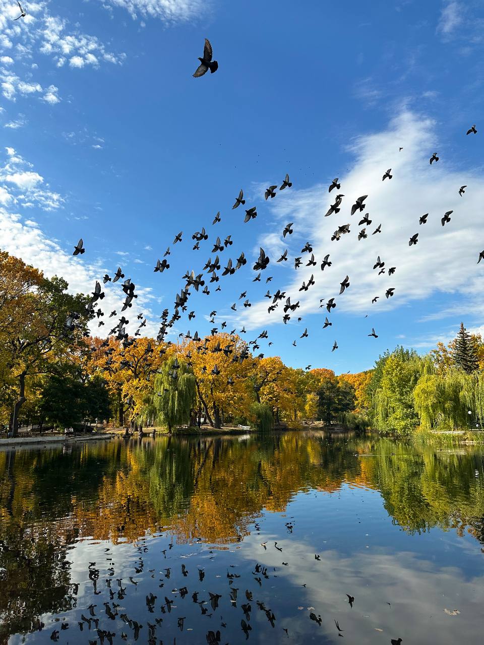 Теплые выходные ждут жителей Саратовской области Теплые выходные ждут жителей Саратовской области
