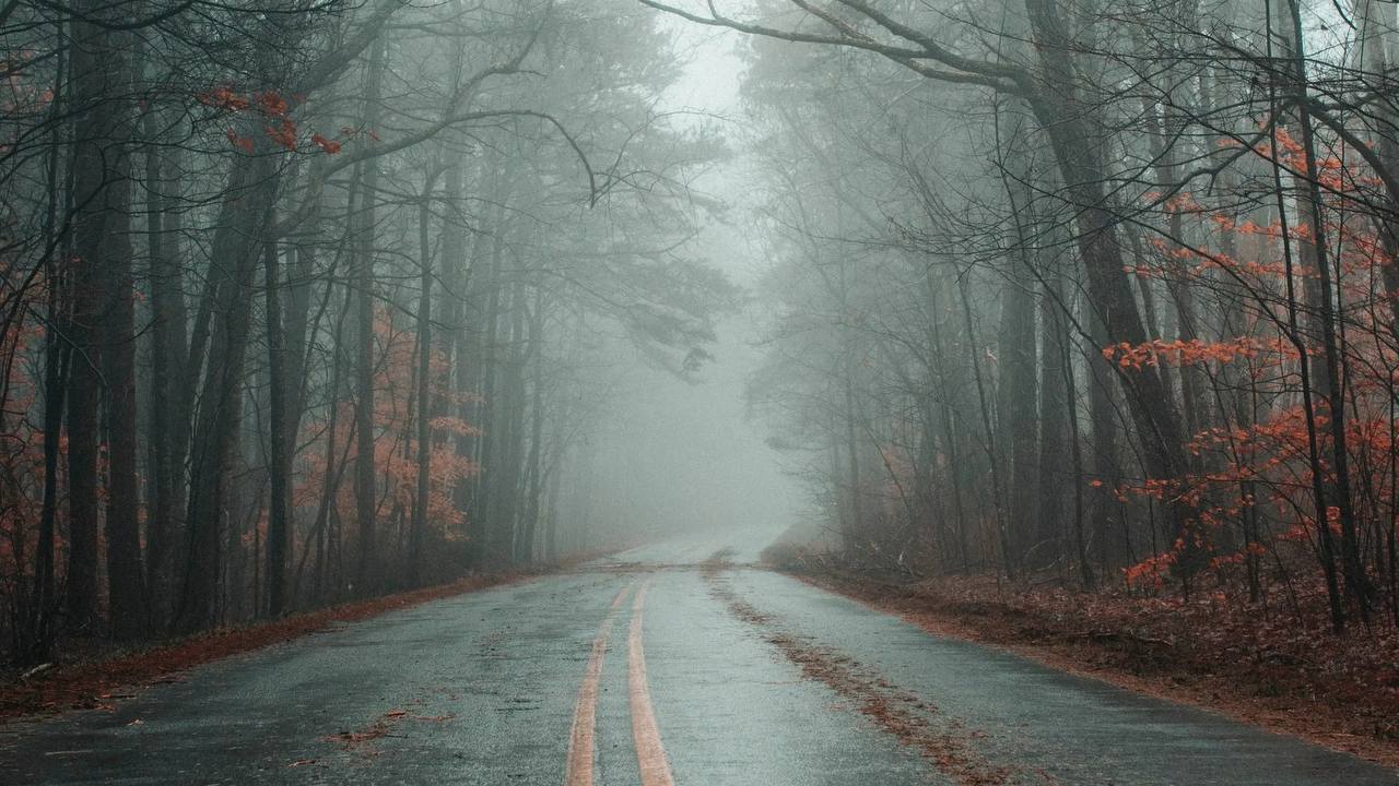 По данным Гидрометцентра 23.11.2025 на территории Саратовской области облачная погода, без осадков