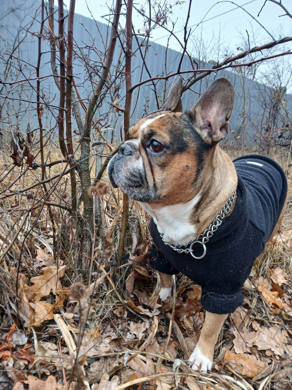 Сегодня — 22 ноября, суббота