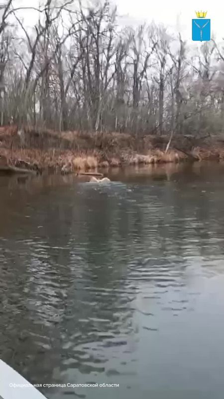 � ��������� ��� ��������� ����������� ��� ������