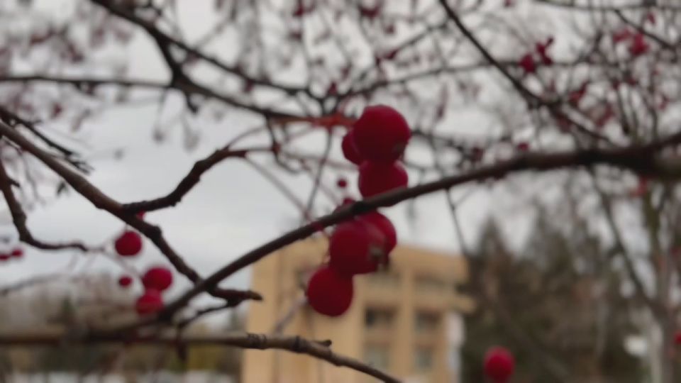 �������� ����� ������ ������������ ����� �� �������� ������