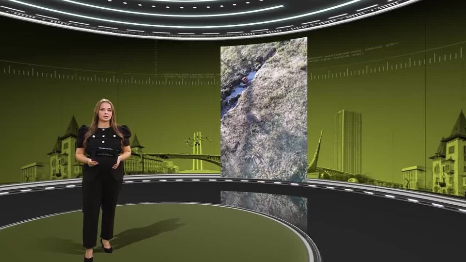 ����� ����� ������ ���������