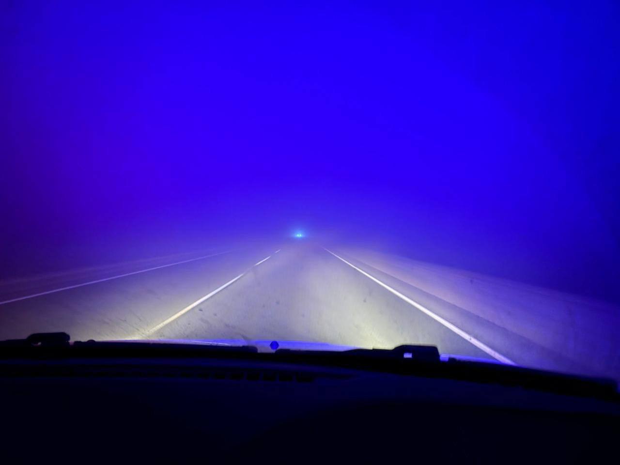 7 районов Саратовской области накрыл густой туман