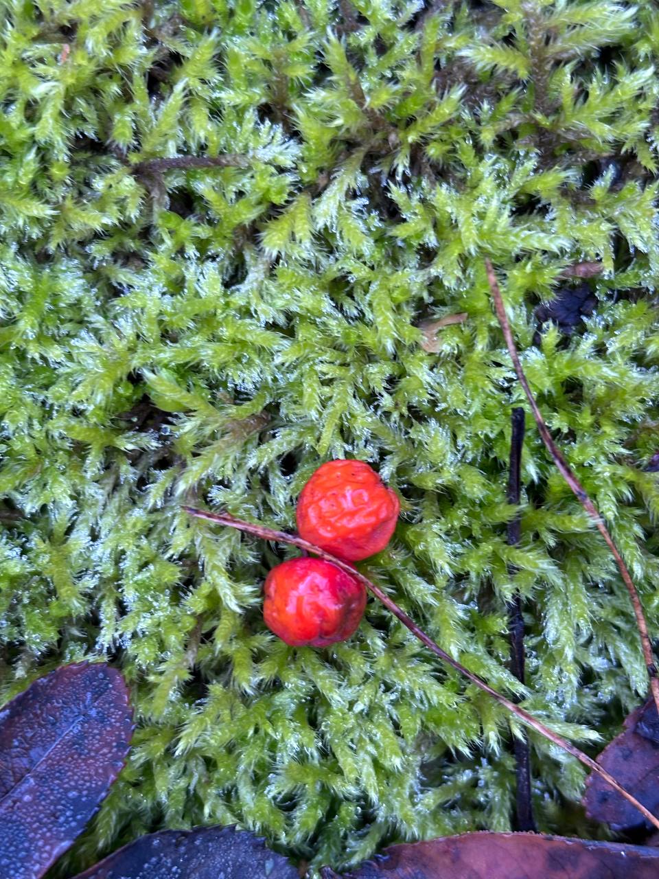 Сегодня 23 ноября, воскресенье Сегодня 23 ноября, воскресенье