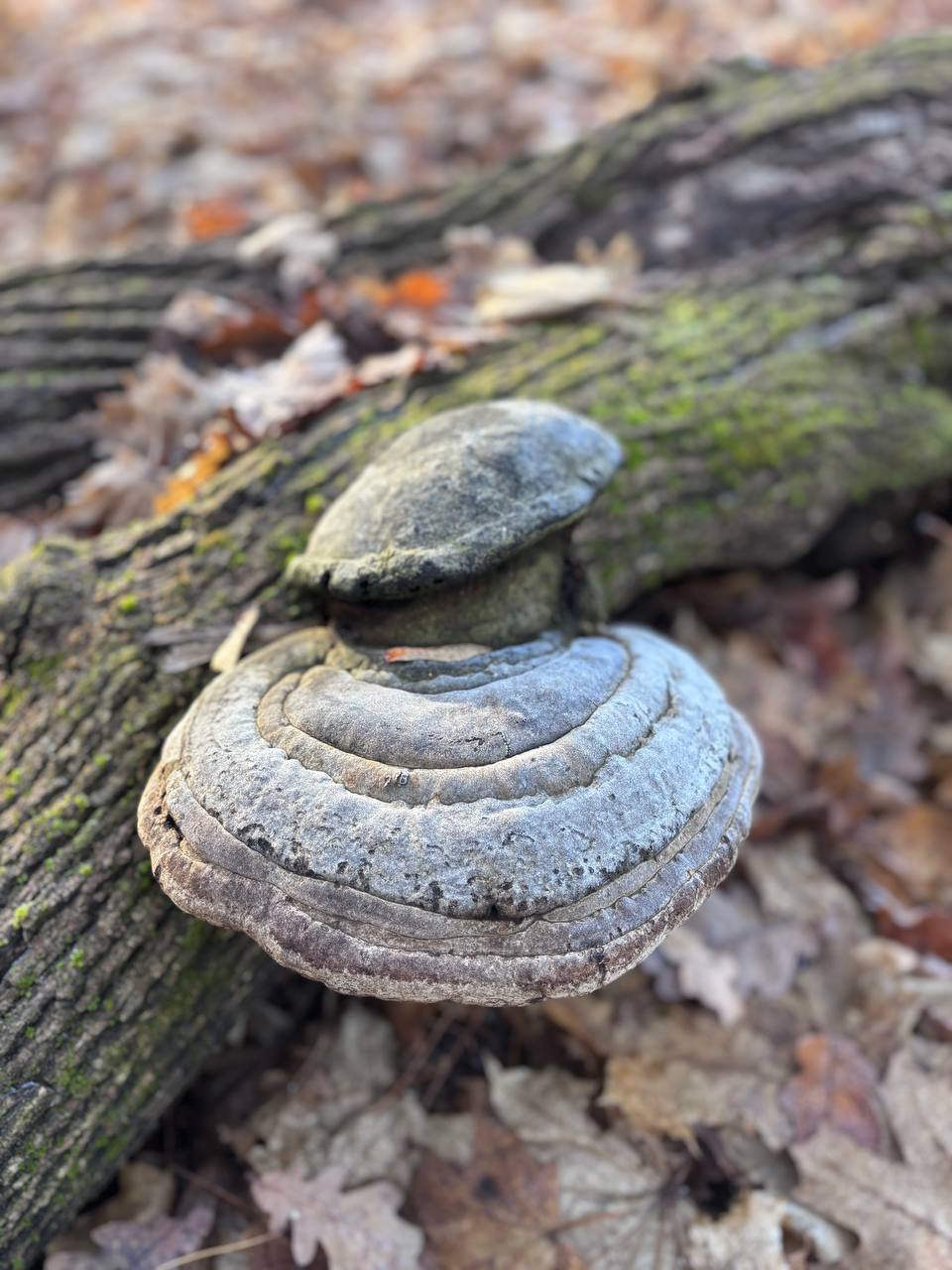 Сегодня 23 ноября, воскресенье Сегодня 23 ноября, воскресенье