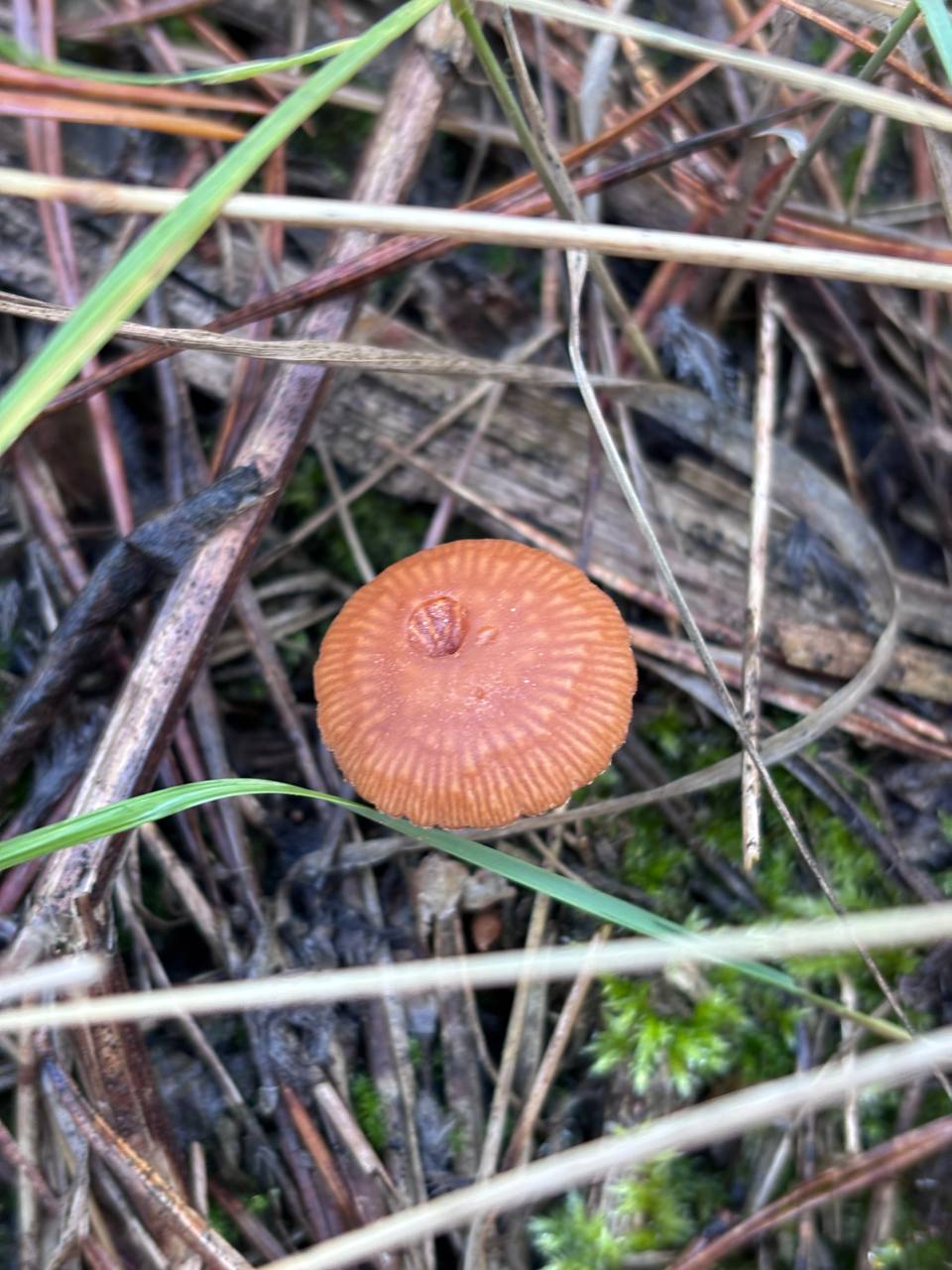 Сегодня 23 ноября, воскресенье Сегодня 23 ноября, воскресенье