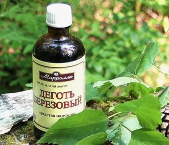 Березовый деготь: натуральный щит для вашего сада в 2025 году