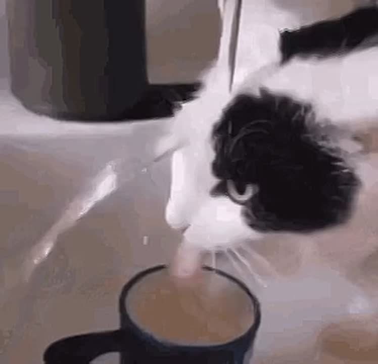 ����� ������� ������������ ������ ��������� ��� �������� ����