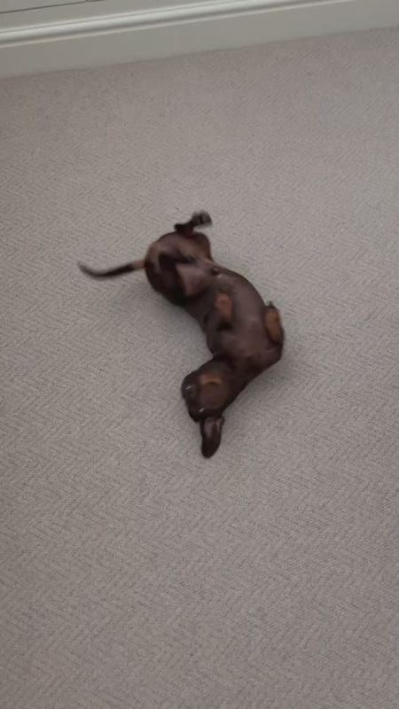 ���� ������� ����!