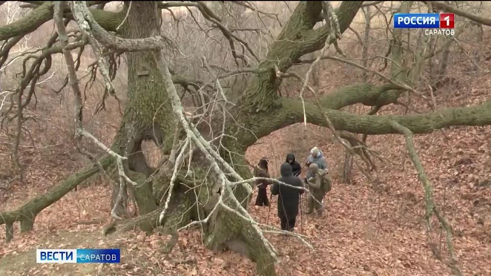 ������������� ������� �� ����������� ������� ������ ������ ������� ����-��� ������������� ������ �������� ���� ���������� ������� ������������� �����