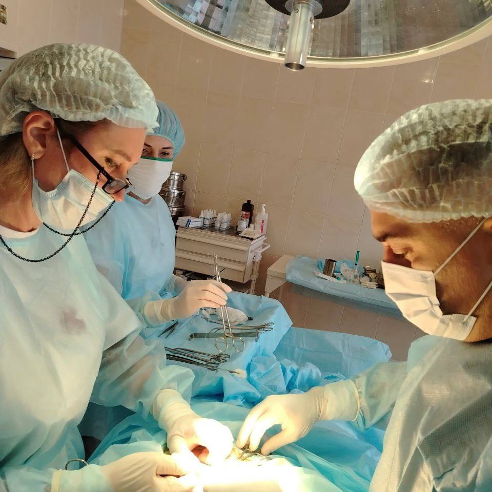 Саратовские врачи оказали медицинскую помощь более 1,5 тыс гражданским и военным в подшефном Сватовском районе Саратовские врачи оказали медицинскую помощь более 1,5 тыс гражданским и военным в подшефном Сватовском районе