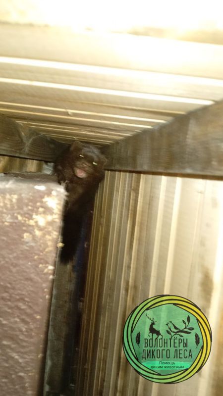 � �������� ����� ����� "������������" ��� ��������