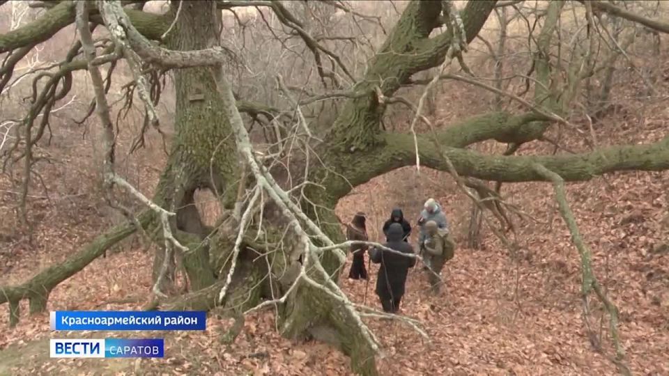 ������� �����. ������������� ������� �� ����������� ������� ������ ������ ������� ����-��� ������������� ������ �������� ����