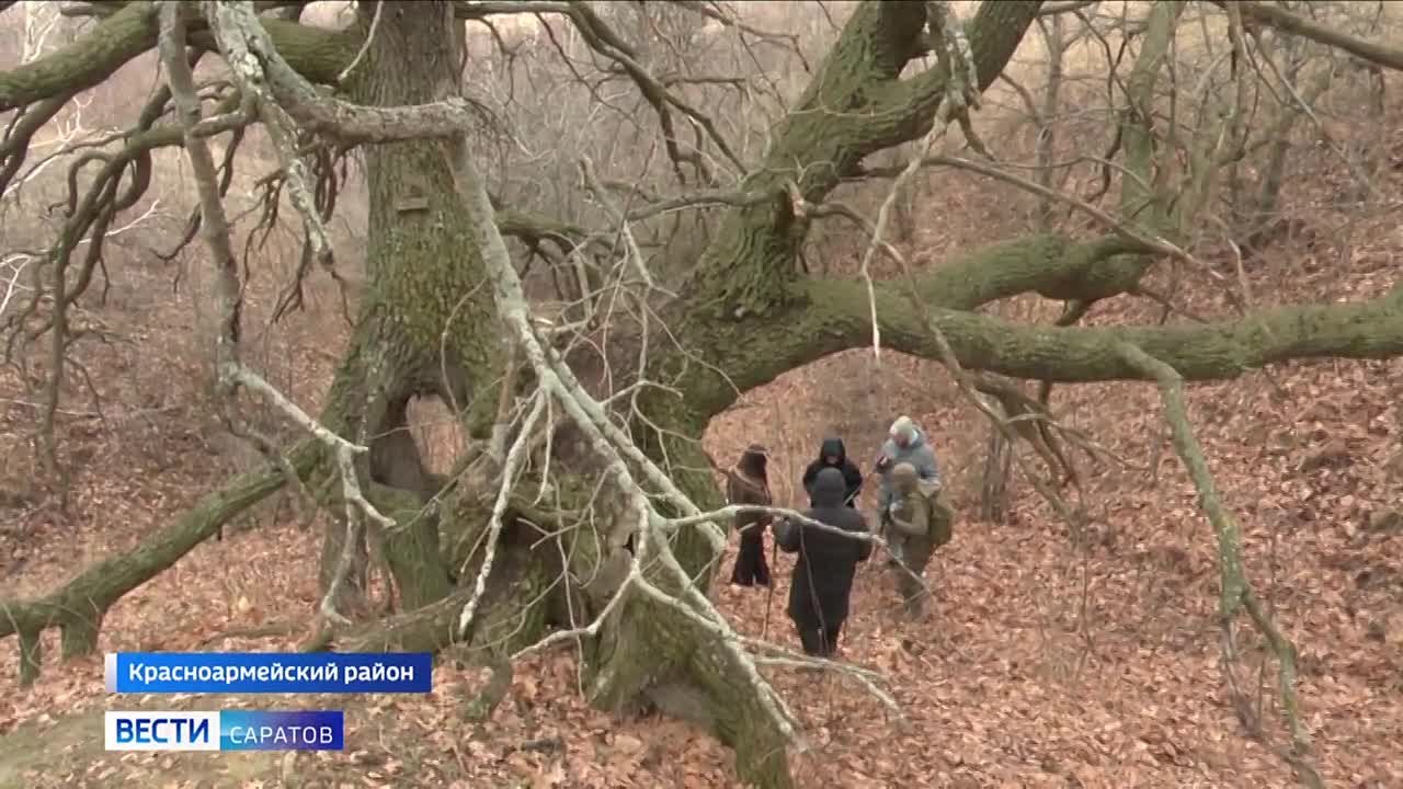 Красота рядом. Туристический маршрут по Саратовской области «Белая полоса» получил гран-при Всероссийской премии «Маршрут года»