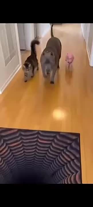 ������ ������������ ������� �� ��������)