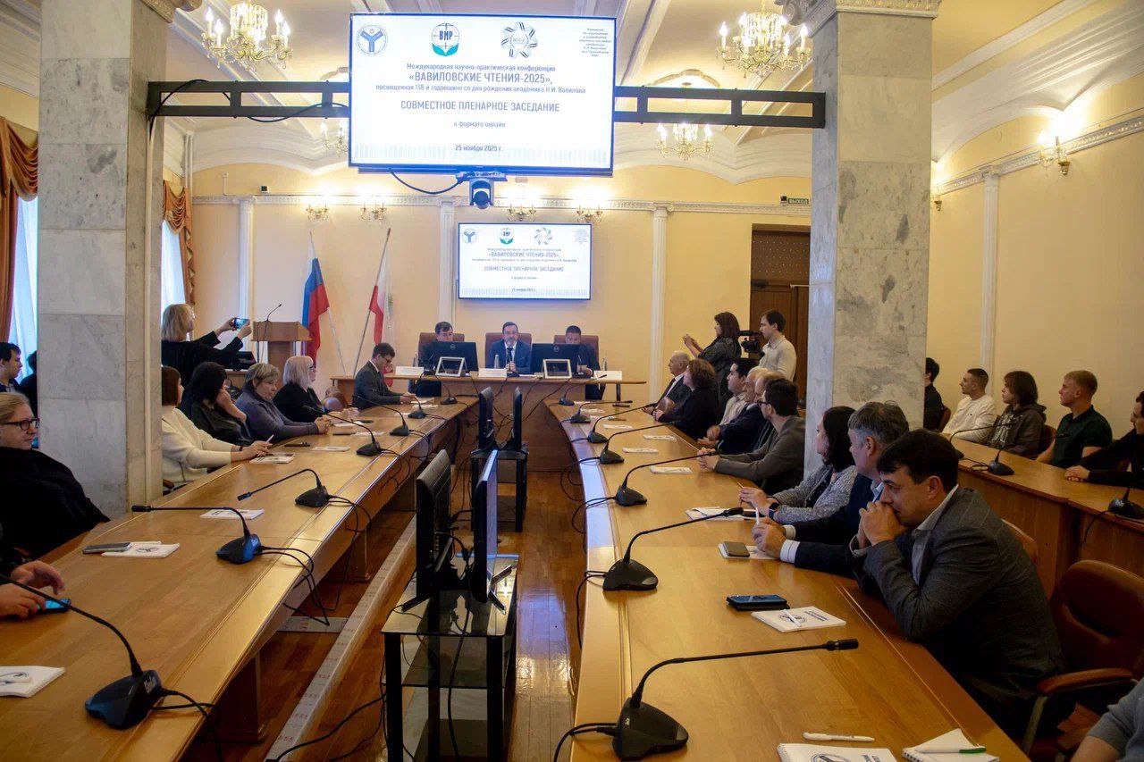 Роман Ковальский: Семена российской селекции уверенно вытесняют иностранные на саратовском рынке Роман Ковальский: Семена российской селекции уверенно вытесняют иностранные на саратовском рынке