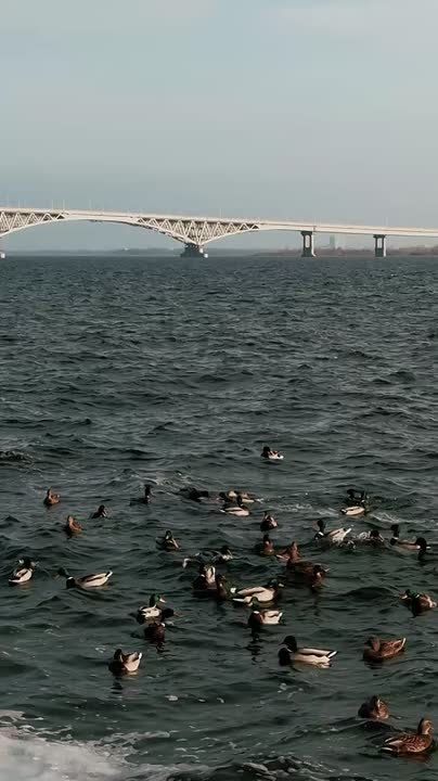 ������� 26 ������, �����. �� ���������� ����������� ������� �������������� ���������� ����������