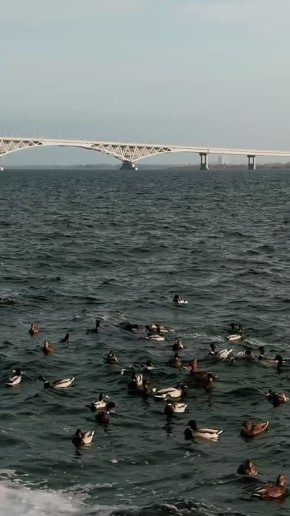 Сегодня 26 ноября, среда. На территории Саратовской области прогнозируется переменная облачность