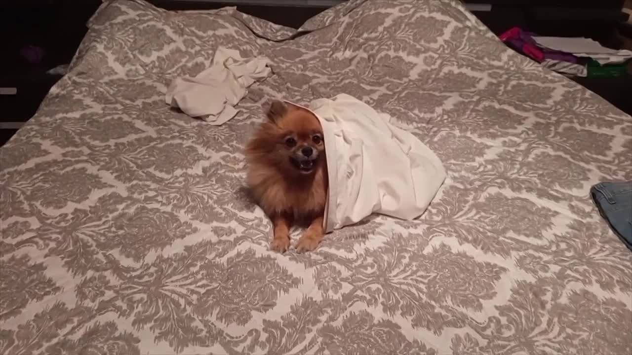 Сегодня — 27 ноября, четверг