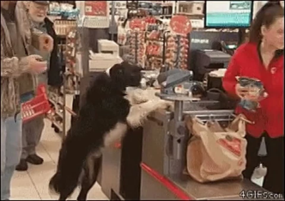 ������� ���������������� ���� ������ ���������� ��������