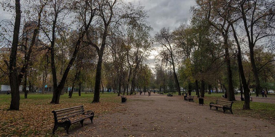 В Саратове прогнозируют отсутствие осадков и температуру до +4