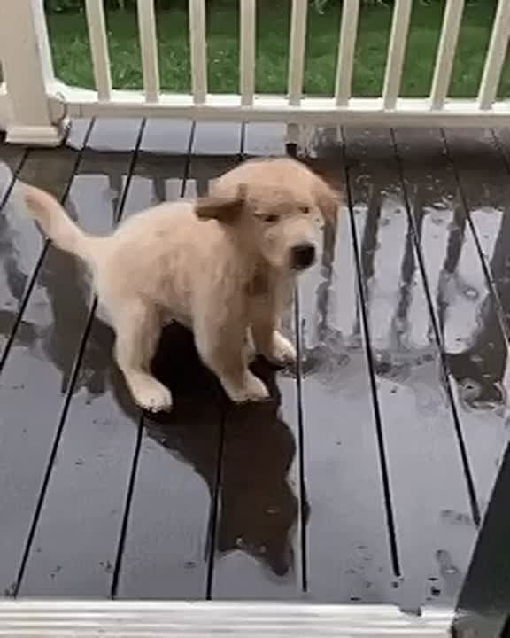 � ����������� ������� ���� ���������� �����