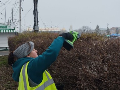 Итоги дня | МКУ «Озеленение» 28 ноября