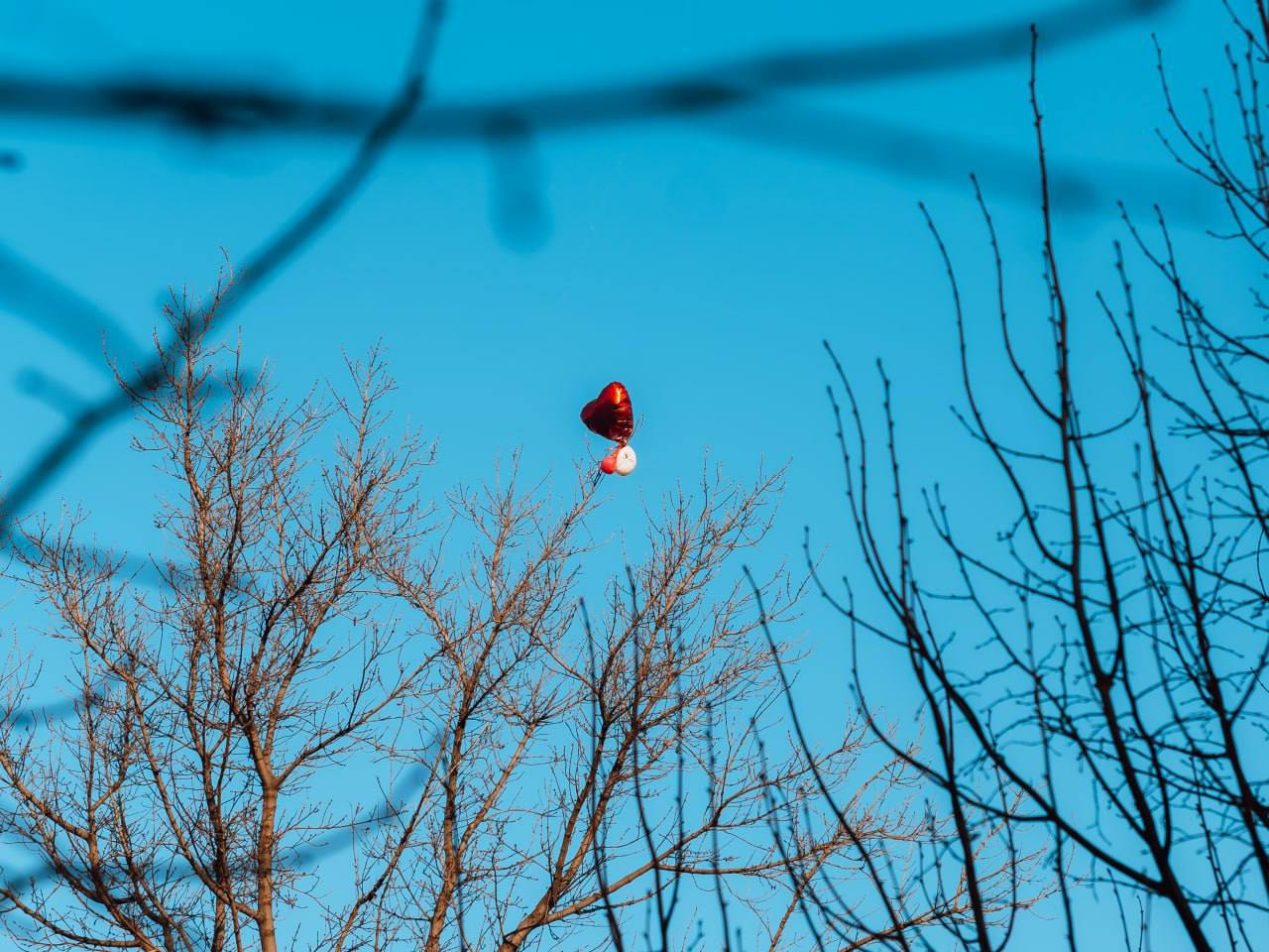 Прощание с осенью прекрасной Прощание с осенью прекрасной