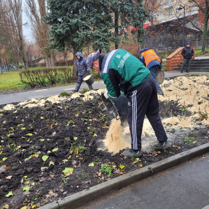 Сотрудники МБУ «Садово-парковое» завершили работы по укрытию кустов роз свежими опилками