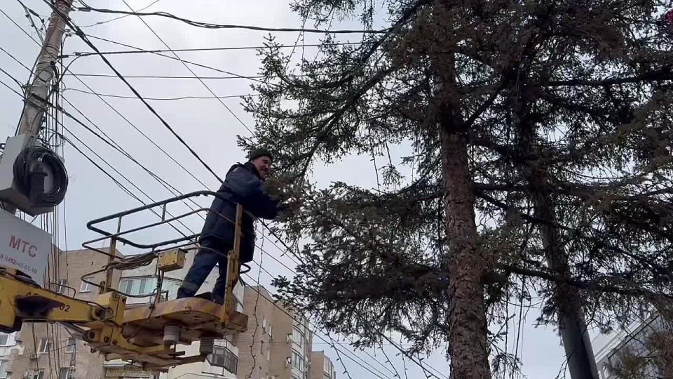 �������� ����� ������ ������������ ����� �� �������� ������