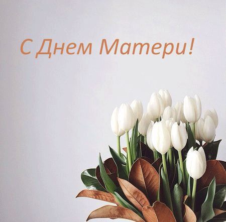 ������� �������, ����, �������!