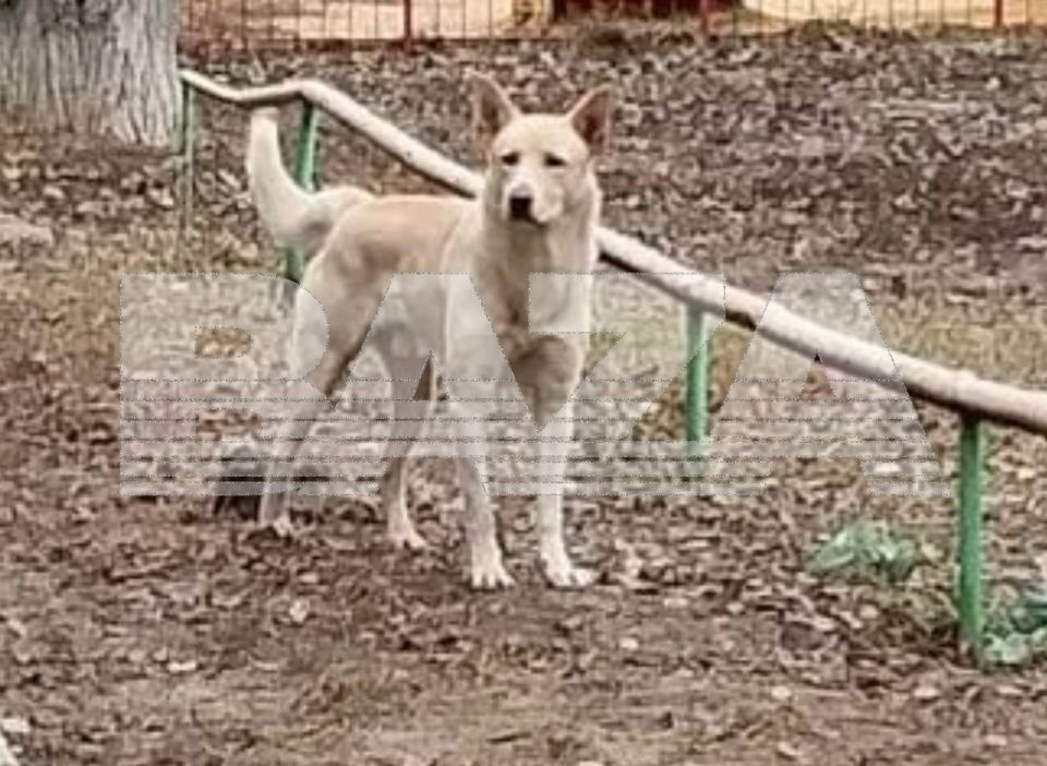 ������� ���� �������� ��� ������� ���� ����� ��������� ��������� ��� � ��������