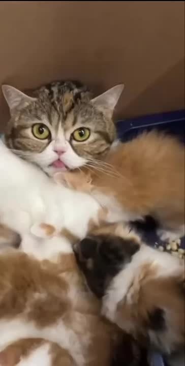 � ���� ������!