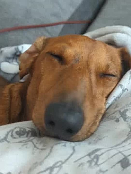 ������ ����!. ��� �������� ���� ��������? - �������;