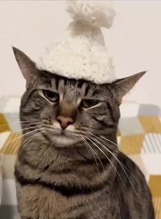 ����� �� �����: ����������� ��������� ����������, ���� ������� � ������ ������ ����