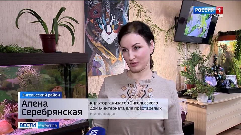 �� ���� ���� �������� ���� �������� ��������