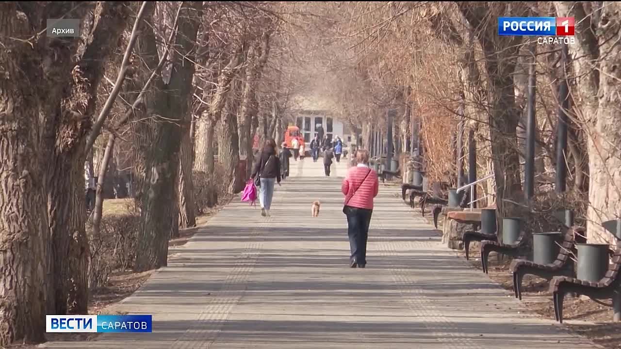 С начала первого месяца зимы в России вступает в силу целый ряд новых федеральных законов