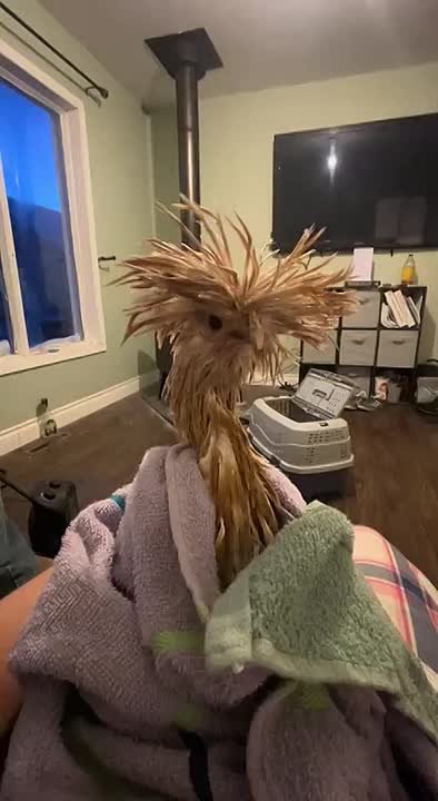 Типичное утро работающего человека)