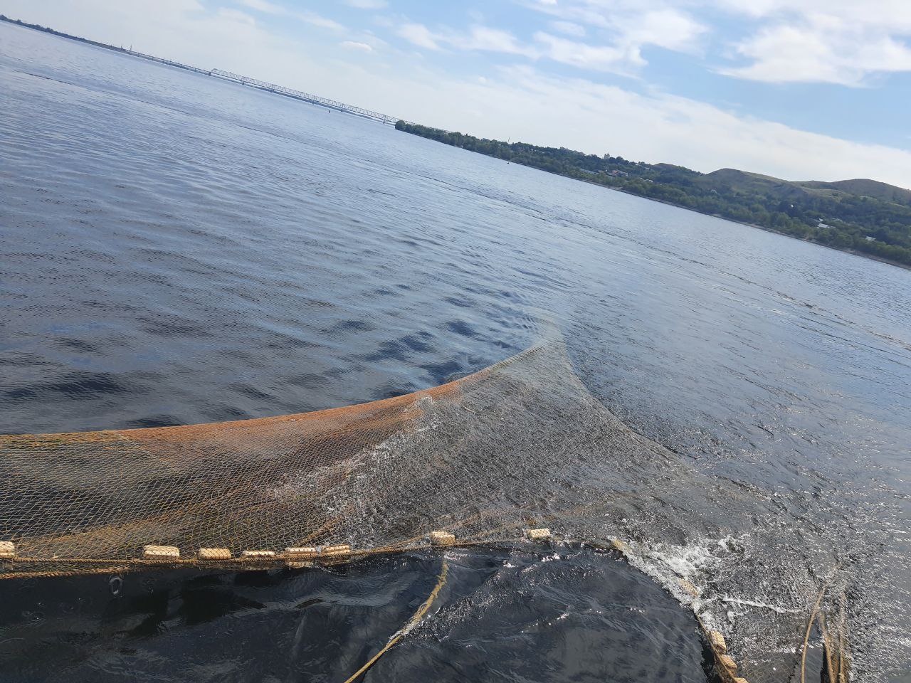 Промысловики смогут без торгов получить право на вылов рыбы в ближайшие 20 лет