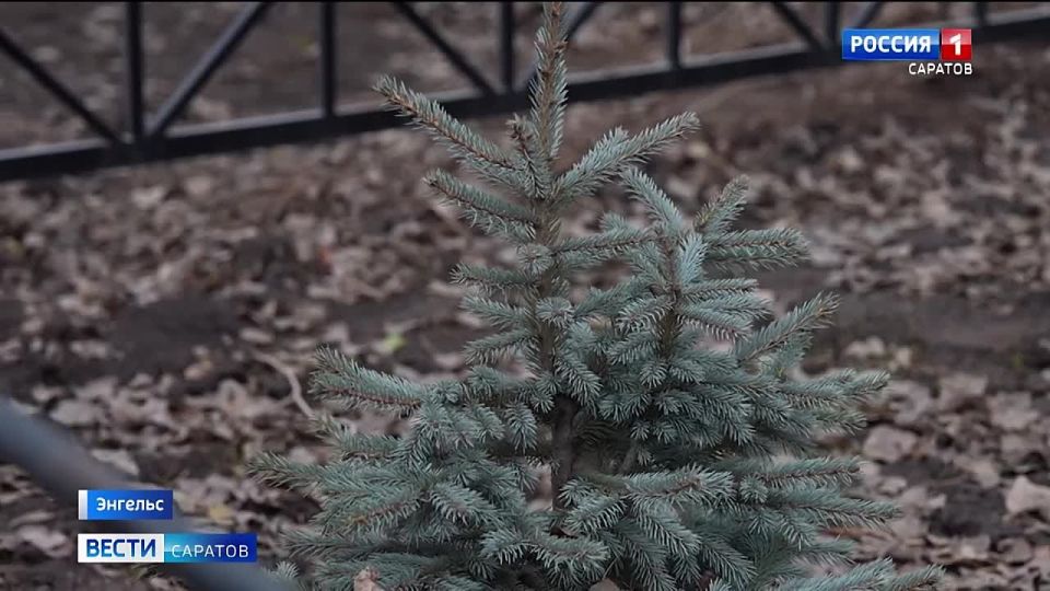 Строительство поликлиники в микрорайоне Шурова гора в Энгельсе вышло на финальную стадию