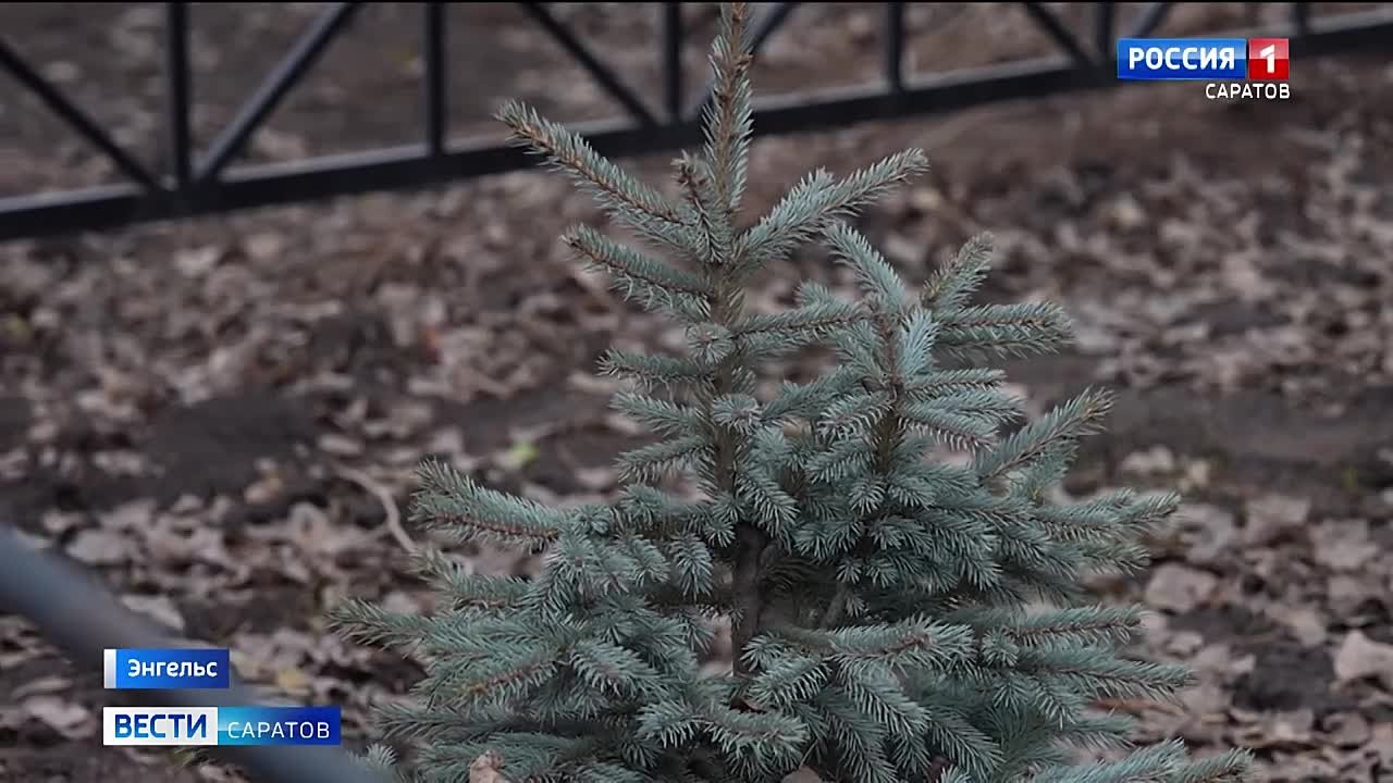 Строительство поликлиники в микрорайоне Шурова гора в Энгельсе вышло на финальную стадию