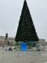 Ёлочку на Театральной площади почти собрали!