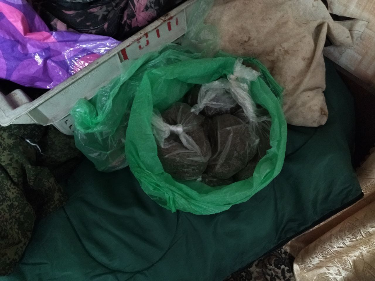 В Саратове сотрудниками УНК ГУ МВД России по Саратовской области у местного жителя изъята партия растительных наркотиков В Саратове сотрудниками УНК ГУ МВД России по Саратовской области у местного жителя изъята партия растительных наркотиков