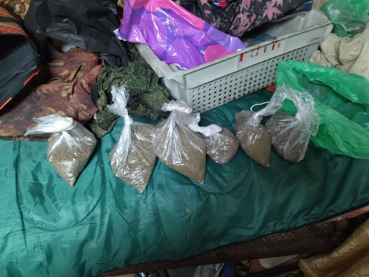 В Саратове сотрудниками УНК ГУ МВД России по Саратовской области у местного жителя изъята партия растительных наркотиков В Саратове сотрудниками УНК ГУ МВД России по Саратовской области у местного жителя изъята партия растительных наркотиков