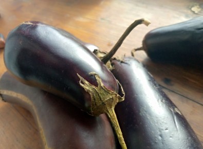 Как правильно хранить баклажаны до зимы: секреты, о которых стоит знать