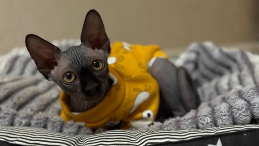 Сегодня - 5 декабря, пятница