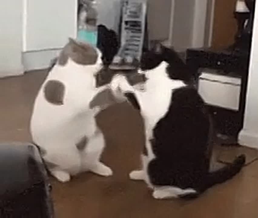 � ����� ���������� ��-�� ������� �������� ��������� ����� �� ������