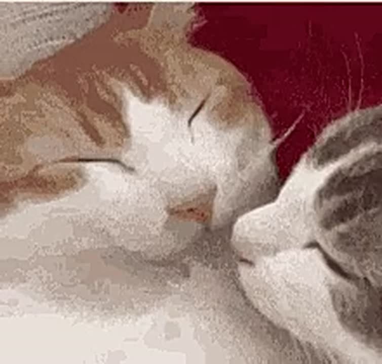 ������� �������� �� �������