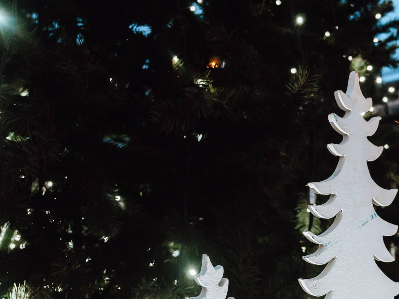 Сегодня наш маленький пушистый инспектор снова вышел на проверку, внимательно осмотрел огни, подошел к каждому украшению и даже сделал пару пауз, чтобы насладиться атмосферой Сегодня наш маленький пушистый инспектор снова вышел на проверку, внимательно осмотрел огни, подошел к каждому украшению и даже сделал пару пауз, чтобы насладиться атмосферой